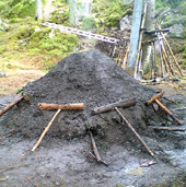 volleyboll